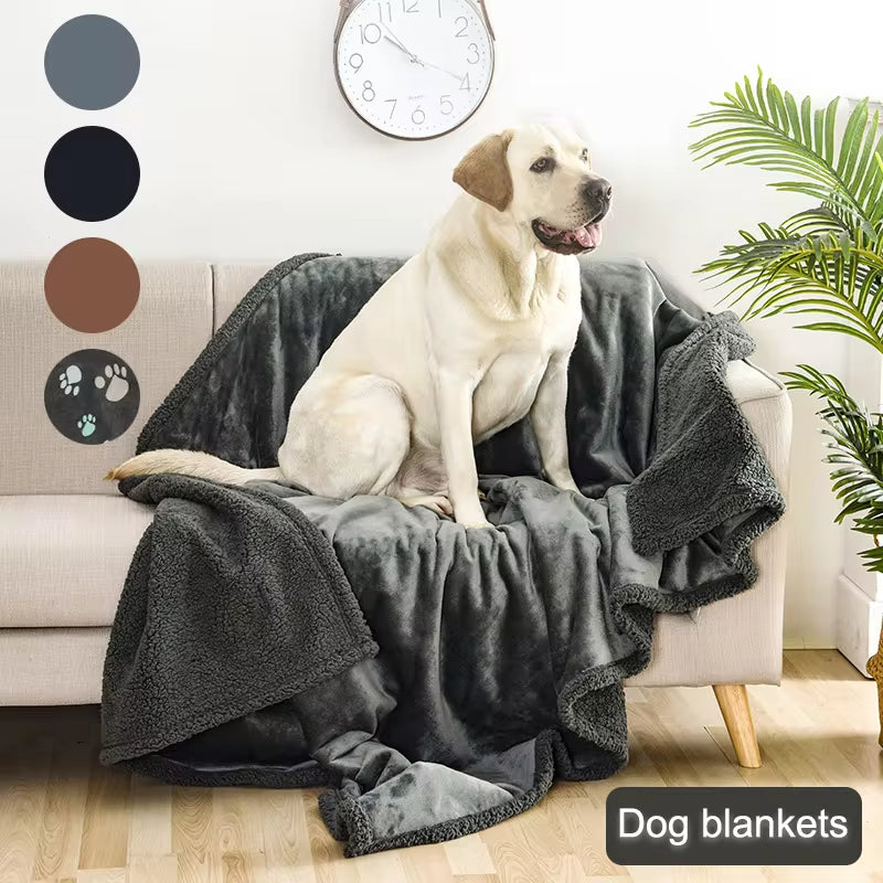 The Drift — sherpa-lined wool throw in oat