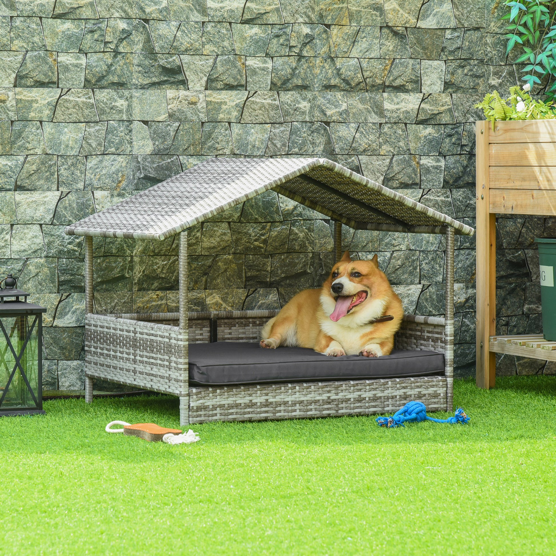 corgi resting in rattan dog bed with canopy, stone wall backdrop, soft daylight