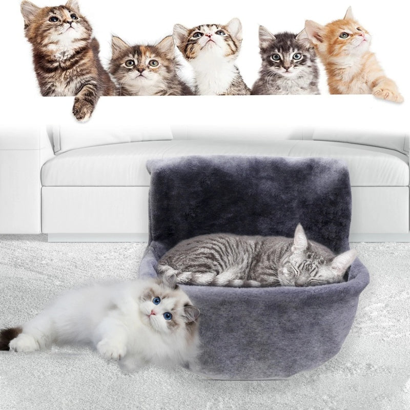 velour cat bed, soft grey plush, fluffy kittens, white sofa, neutral living room