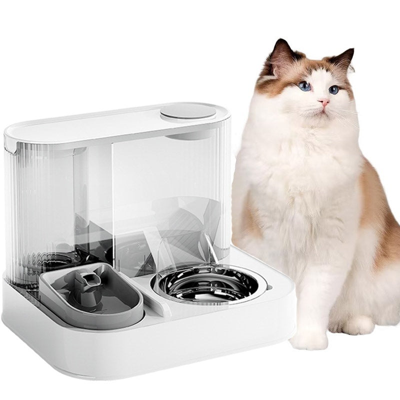 white automatic pet feeder with stainless steel bowl, beside fluffy cat, studio light