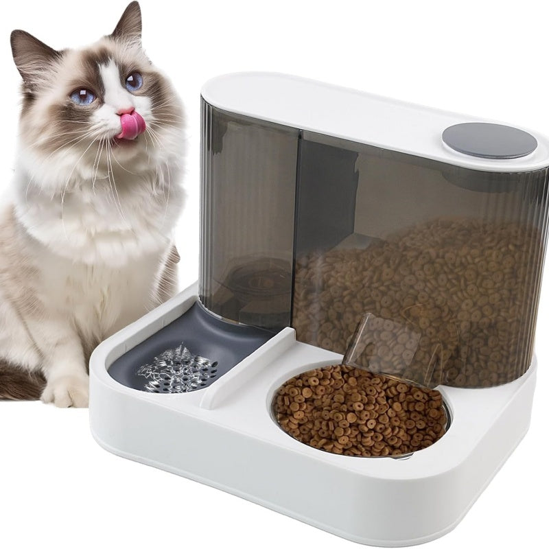 fluffy ragdoll cat, matte white feeder with grey accents, dry kibble in translucent hopper, studio light