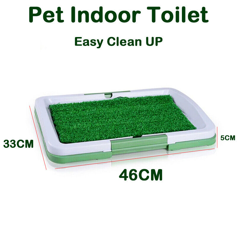 plastic pet indoor toilet with artificial grass, clean lines, white and green frame