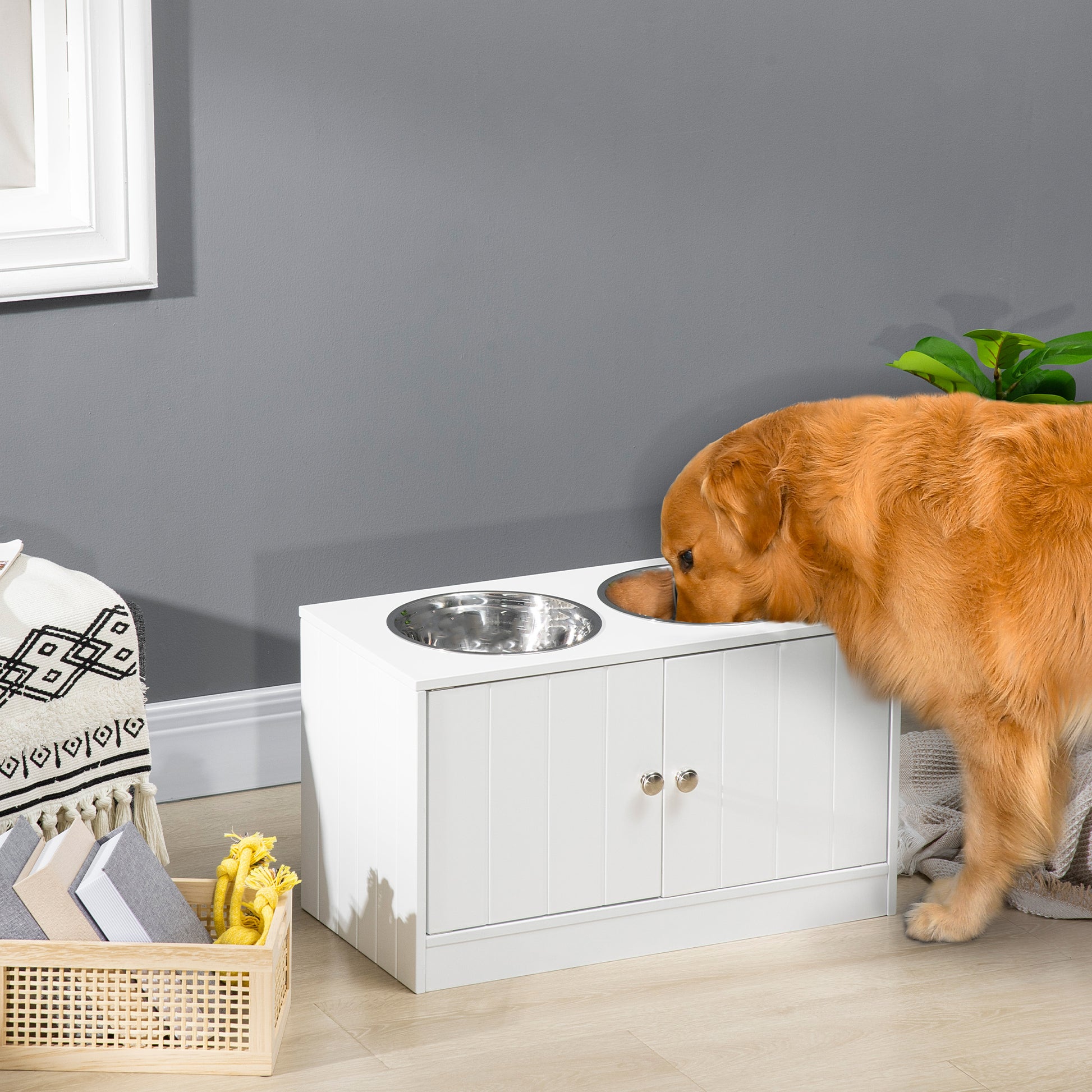 white wooden raised feeder with stainless steel bowls, golden retriever eating, soft natural light, grey wall