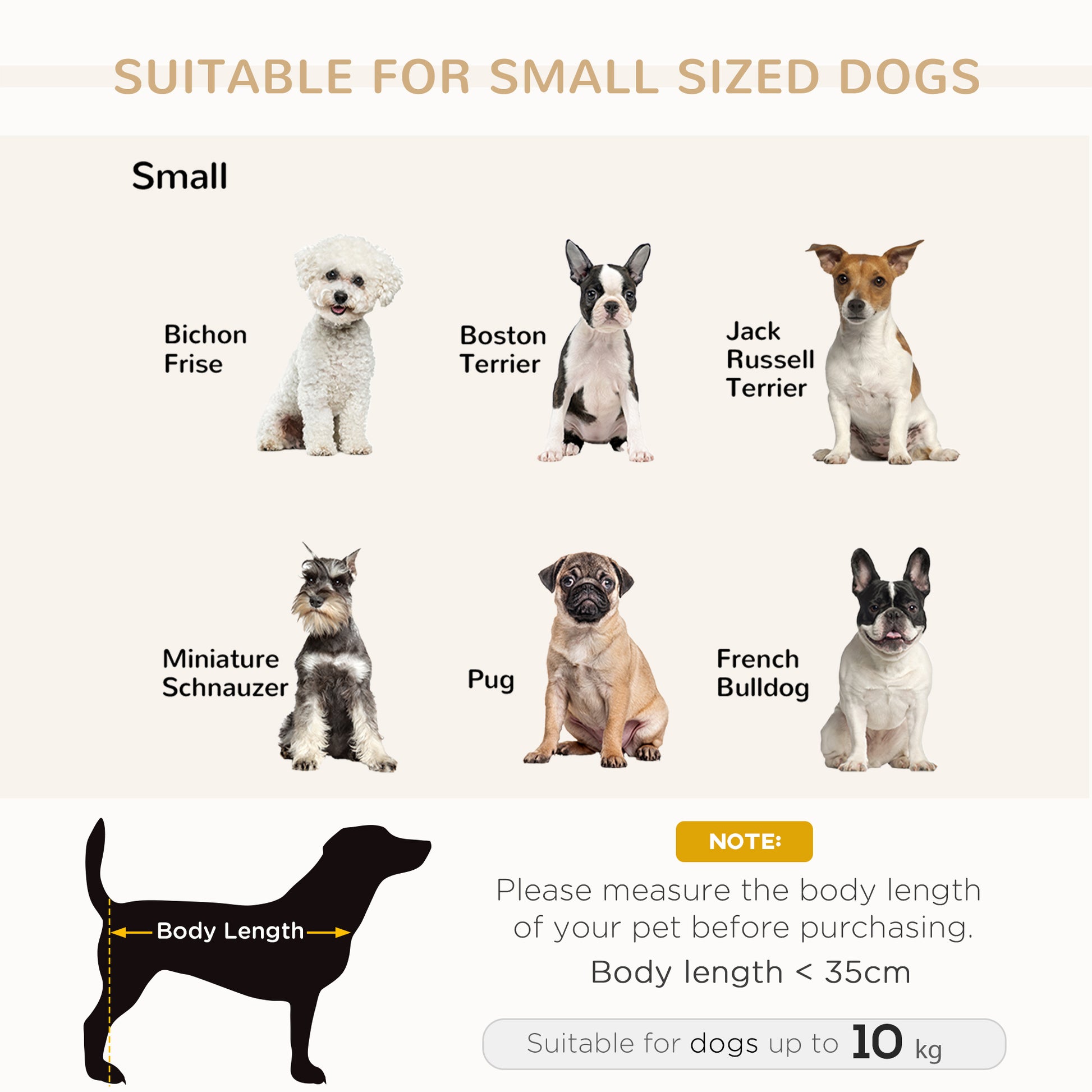 small dog breeds guide, bichon frise, pug, french bulldog, body length under 35cm, soft neutral lighting