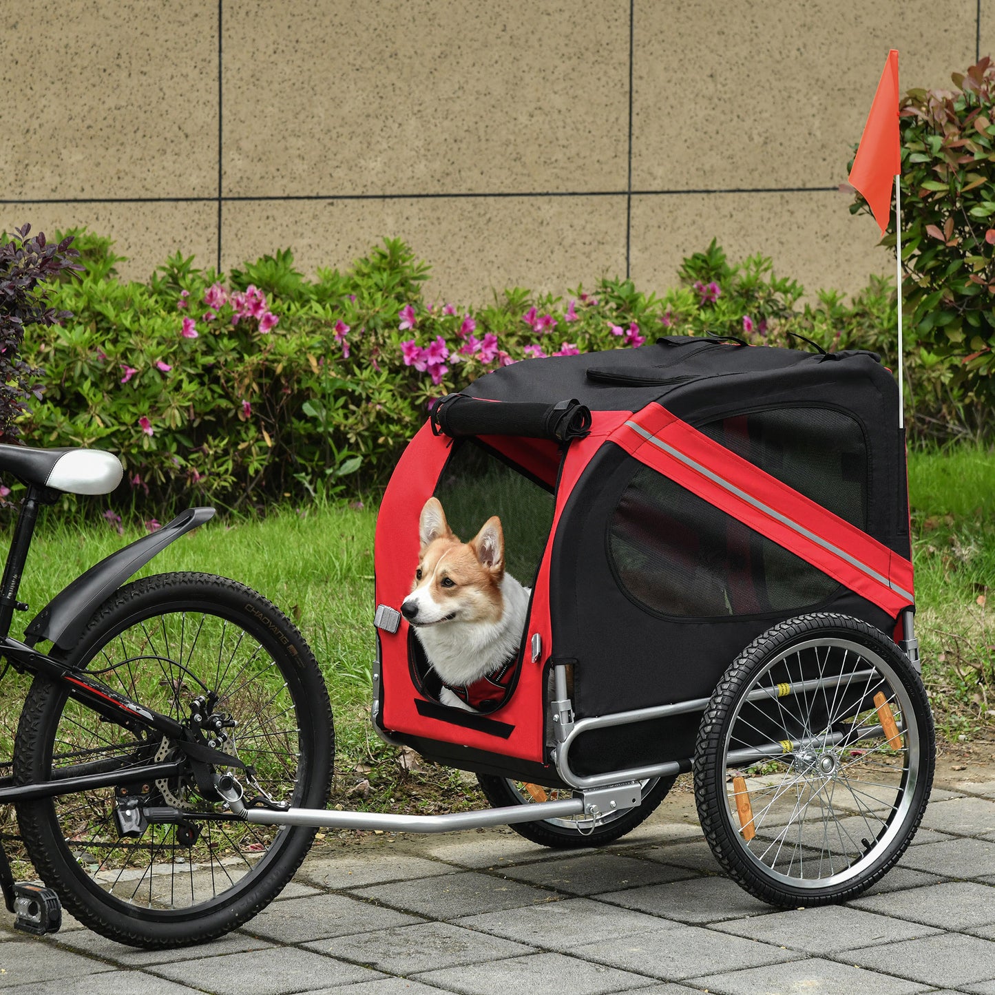 corgi in red and black bike trailer, mesh windows, silver frame, paved path, green shrubs