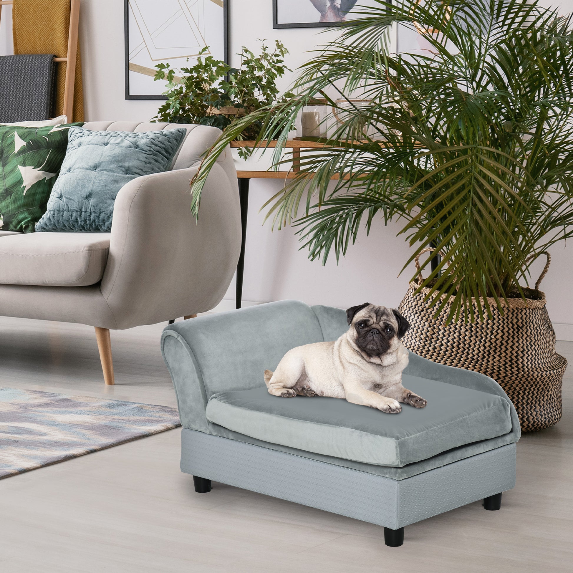 pug on a pale blue velvet pet sofa, beside a woven basket and green palm, soft natural light