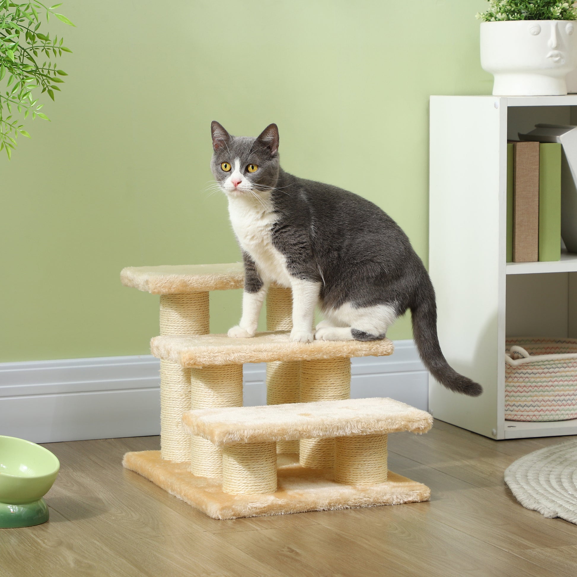 grey and white cat on a three-tiered sisal and velour cat tree, soft natural light, pale green wall