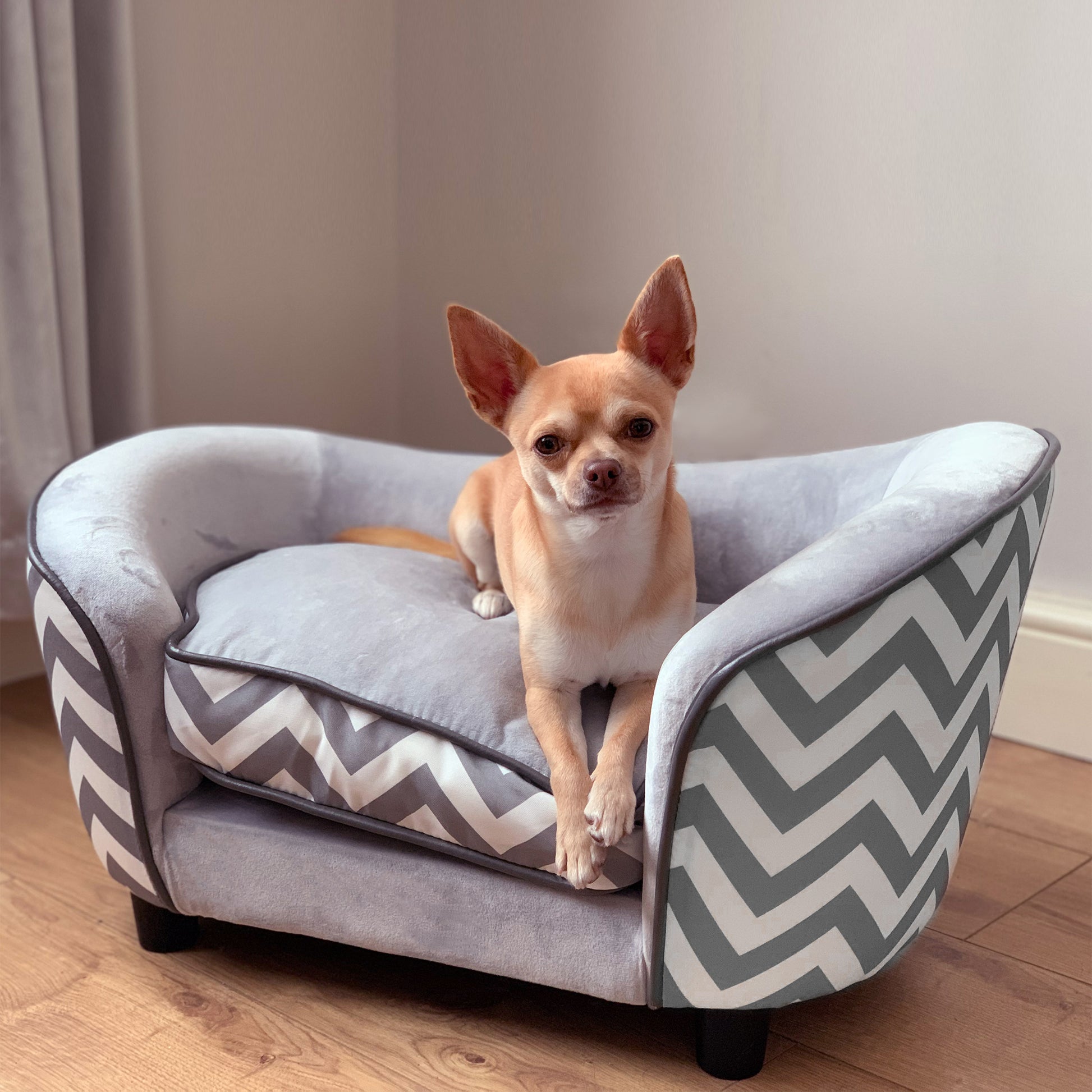 velour pet sofa, chevron pattern, soft grey tones, chihuahua resting, warm indoor light