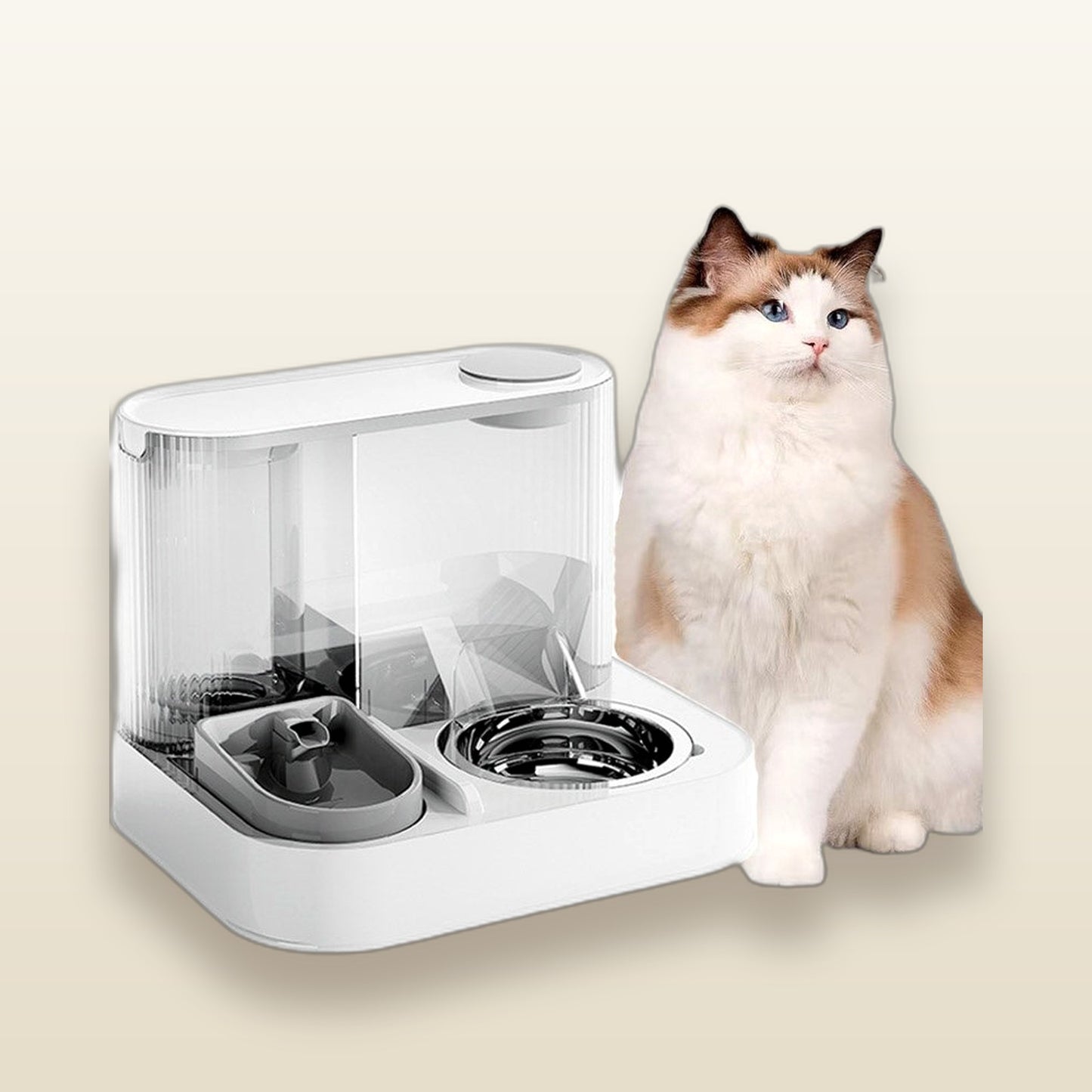 The Attendant — automatic feeder, Velour